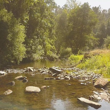 Suites Do Pinhal Proença-a-Nova Dış mekan fotoğraf