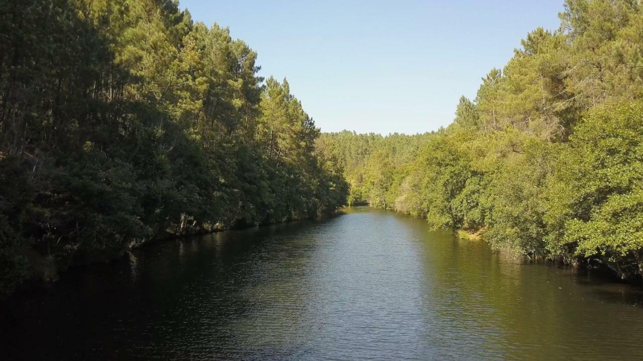 Suites Do Pinhal Proença-a-Nova Dış mekan fotoğraf