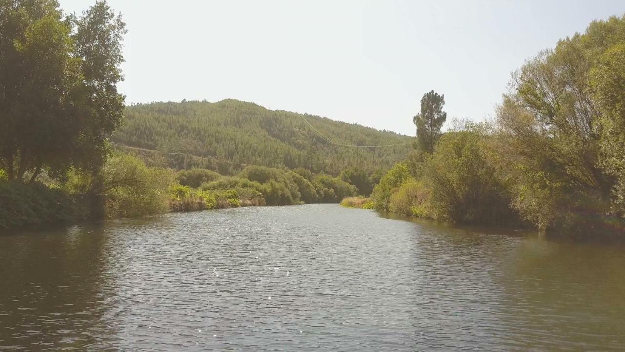 Suites Do Pinhal Proença-a-Nova Dış mekan fotoğraf